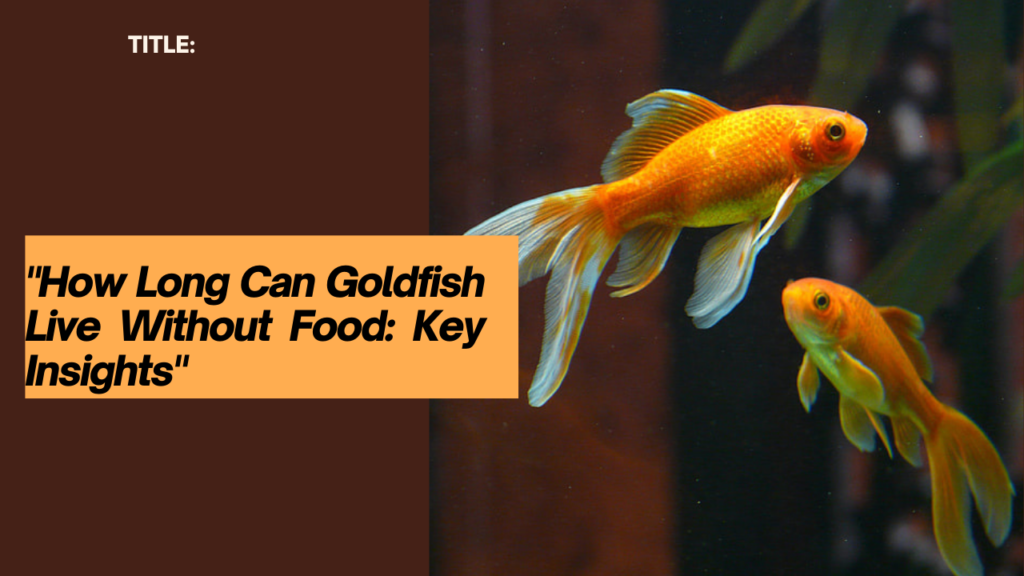how long can goldfish live without food