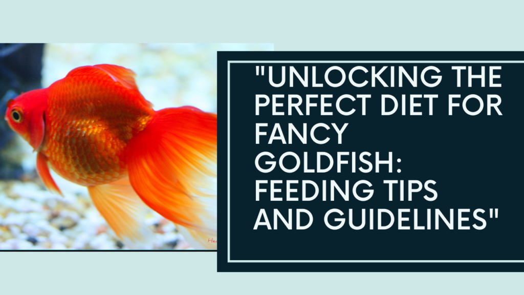 perfect diet for fancy goldfish